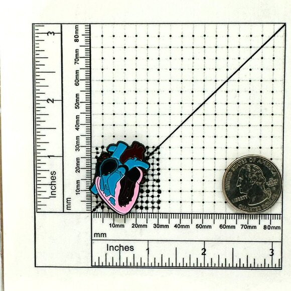 🤩Anatomical Heart Art Enamel Pin With Black Rubber Clutch -  Heart brooch gift - Picture 6 of 6